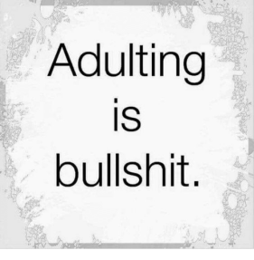 adulting-is-bullshit-27109771